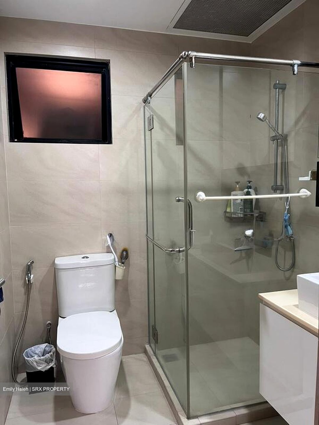 Dover Parkview (D5), Condominium #502462951